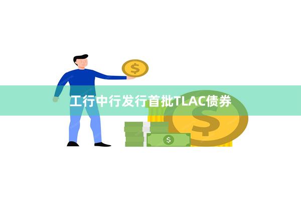 工行中行发行首批TLAC债券