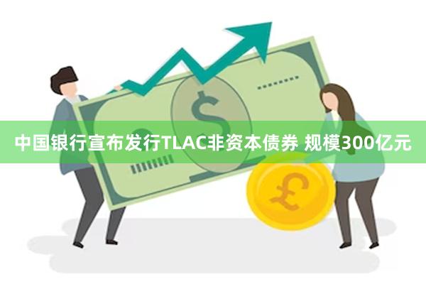 中国银行宣布发行TLAC非资本债券 规模300亿元