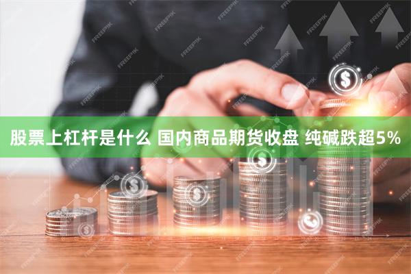 股票上杠杆是什么 国内商品期货收盘 纯碱跌超5%