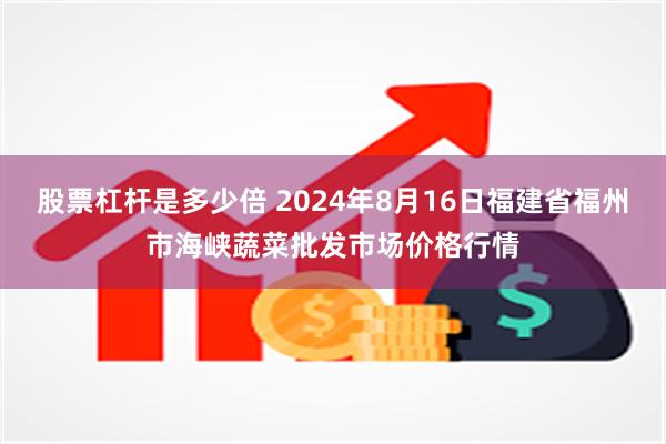 股票杠杆是多少倍 2024年8月16日福建省福州市海峡蔬菜批发市场价格行情