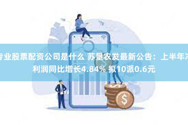 专业股票配资公司是什么 苏垦农发最新公告：上半年净利润同比增长4.84% 拟10派0.6元