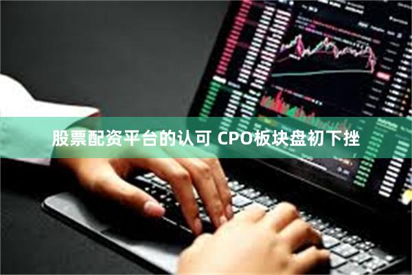 股票配资平台的认可 CPO板块盘初下挫