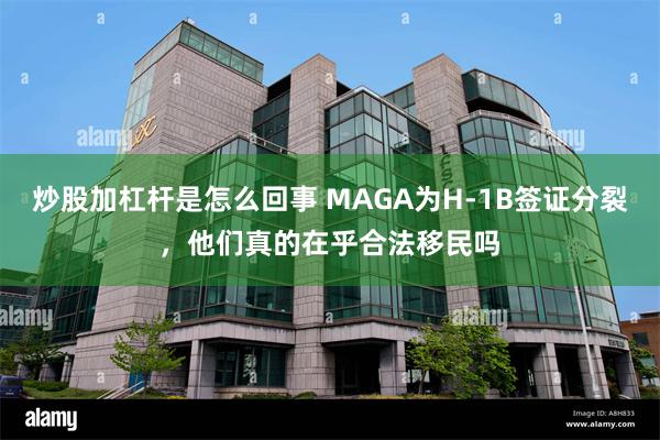 炒股加杠杆是怎么回事 MAGA为H-1B签证分裂，他们真的在乎合法移民吗