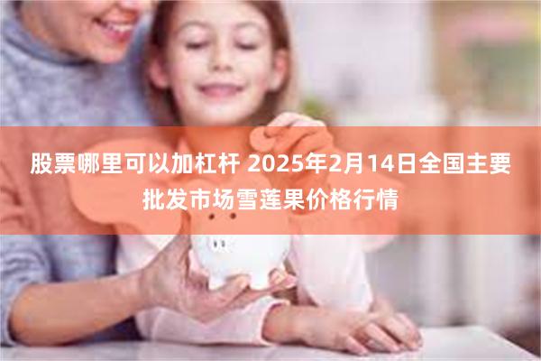 股票哪里可以加杠杆 2025年2月14日全国主要批发市场雪莲果价格行情