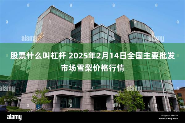 股票什么叫杠杆 2025年2月14日全国主要批发市场雪梨价格行情