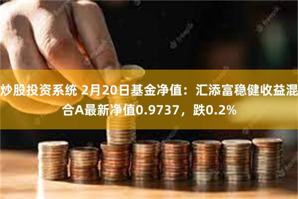 炒股投资系统 2月20日基金净值：汇添富稳健收益混合A最新净值0.9737，跌0.2%